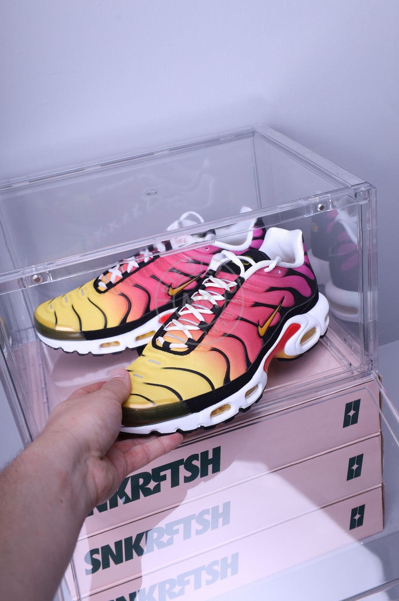 Premium Sneaker Box Transparent